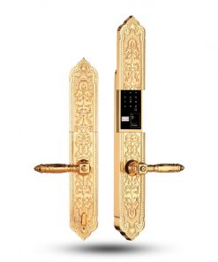Khóa đại sảnh-biệt thự EL8882 24K