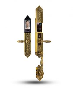 Khóa Đại Sảnh - Biệt Thự EL988 GB BRASS