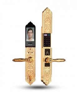 Khóa Đại Sảnh - Biệt Thự  Demax EL9882 24K BRASS